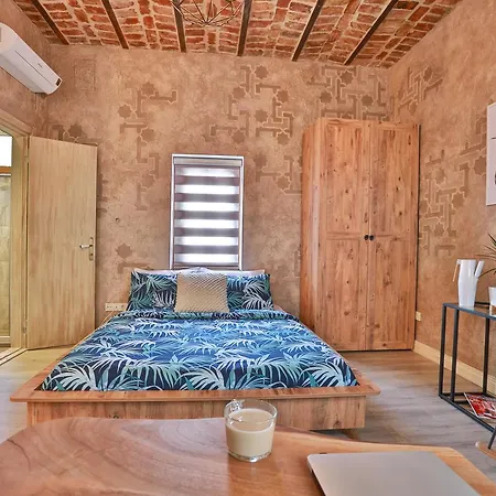 公寓公司 - 木之根公寓 * 伊斯坦布尔