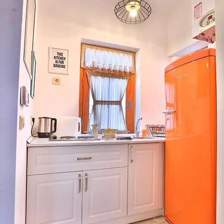 公寓公司 - 木之根公寓 * 伊斯坦布尔